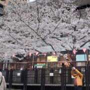 ヒメ日記 2025/04/06 04:51 投稿 多部【たべ】 丸妻 西船橋店