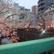 ヒメ日記 2025/04/09 18:12 投稿 多部【たべ】 丸妻 西船橋店