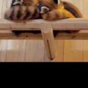 ヒメ日記 2025/05/20 23:02 投稿 多部【たべ】 丸妻 西船橋店