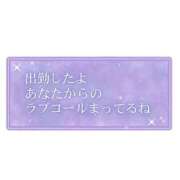 ヒメ日記 2025/07/11 20:29 投稿 多部【たべ】 丸妻 西船橋店