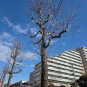 ヒメ日記 2026/01/10 13:26 投稿 多部【たべ】 丸妻 西船橋店