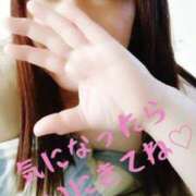 ヒメ日記 2025/02/20 11:45 投稿 える 福岡飯塚田川ちゃんこ