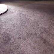 ヒメ日記 2025/09/09 04:05 投稿 える 福岡飯塚田川ちゃんこ