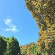 ヒメ日記 2025/11/06 15:45 投稿 える 福岡飯塚田川ちゃんこ