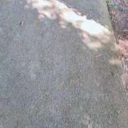 ヒメ日記 2025/11/06 19:45 投稿 える 福岡飯塚田川ちゃんこ