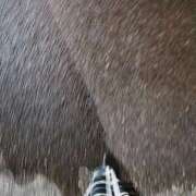 ヒメ日記 2025/11/25 21:45 投稿 える 福岡飯塚田川ちゃんこ