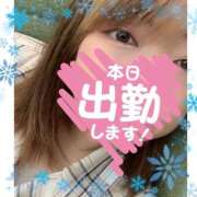 ヒメ日記 2025/03/10 11:39 投稿 ななせ 迷宮の人妻　熊谷・行田発