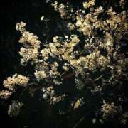 ヒメ日記 2025/04/06 03:14 投稿 ひがん 人妻倶楽部 内緒の関係 大宮店