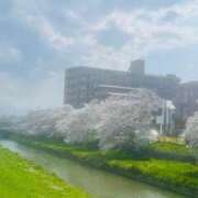 ヒメ日記 2025/04/07 15:24 投稿 ひがん 人妻倶楽部 内緒の関係 大宮店