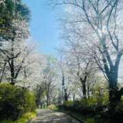 ヒメ日記 2025/03/31 07:05 投稿 ひがん 人妻倶楽部 内緒の関係 川越店