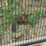 ヒメ日記 2025/08/23 21:25 投稿 ひがん 人妻倶楽部 内緒の関係 川越店