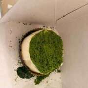 ヒメ日記 2026/01/02 14:44 投稿 ひがん 人妻倶楽部 内緒の関係 川越店