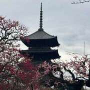 ヒメ日記 2026/03/08 09:58 投稿 ひがん 人妻倶楽部 内緒の関係 川越店