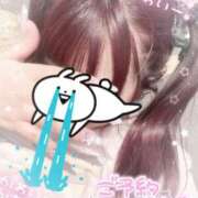 ヒメ日記 2025/03/02 19:45 投稿 みるく 素人しか勝たん！柏店（超恋人型空間デリヘル）