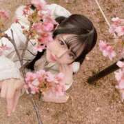 ヒメ日記 2025/03/20 12:55 投稿 なぎさ フォーチュン