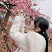 ヒメ日記 2025/04/16 22:03 投稿 なぎさ フォーチュン