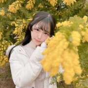 ヒメ日記 2025/05/04 18:03 投稿 なぎさ フォーチュン