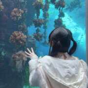 ヒメ日記 2025/05/05 18:00 投稿 なぎさ フォーチュン