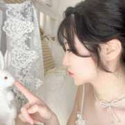 ヒメ日記 2025/05/17 18:01 投稿 なぎさ フォーチュン