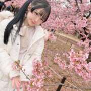 ヒメ日記 2025/05/19 18:55 投稿 なぎさ フォーチュン