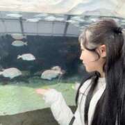 ヒメ日記 2025/06/04 18:00 投稿 なぎさ フォーチュン