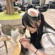 ヒメ日記 2025/06/08 12:01 投稿 なぎさ フォーチュン