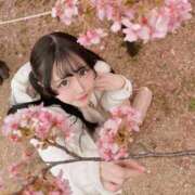 ヒメ日記 2025/06/09 20:02 投稿 なぎさ フォーチュン