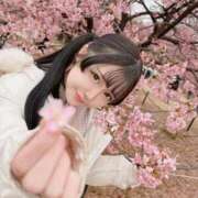 ヒメ日記 2025/08/23 21:00 投稿 なぎさ フォーチュン