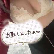 ヒメ日記 2026/02/17 09:49 投稿 大島 うみか 30代40代50代と遊ぶなら博多人妻専科24時