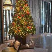 ヒメ日記 2024/12/15 19:46 投稿 新垣みお 月の真珠-五反田-