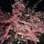 ヒメ日記 2025/03/05 23:06 投稿 新垣みお 月の真珠-五反田-