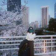 ヒメ日記 2025/04/08 11:27 投稿 新垣みお 月の真珠-五反田-