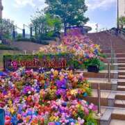 ヒメ日記 2025/04/24 00:46 投稿 新垣みお 月の真珠-五反田-