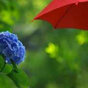 ヒメ日記 2025/05/17 13:46 投稿 新垣みお 月の真珠-五反田-