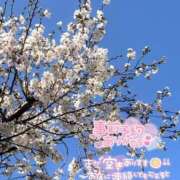 ヒメ日記 2025/03/31 21:33 投稿 みのり ノーパンエステ!?絶頂させる天使たち