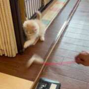 ヒメ日記 2025/06/30 19:28 投稿 みのり ノーパンエステ!?絶頂させる天使たち