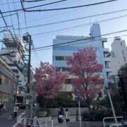 ヒメ日記 2025/03/26 14:11 投稿 新人・妃(きさき) グランドオペラ福岡