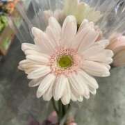 ヒメ日記 2025/05/19 14:00 投稿 新人・妃(きさき) グランドオペラ福岡