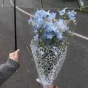 ヒメ日記 2025/06/27 12:21 投稿 新人・妃(きさき) グランドオペラ福岡