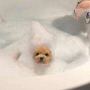 ヒメ日記 2025/06/28 21:11 投稿 新人・妃(きさき) グランドオペラ福岡