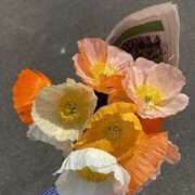 ヒメ日記 2025/07/01 08:11 投稿 新人・妃(きさき) グランドオペラ福岡