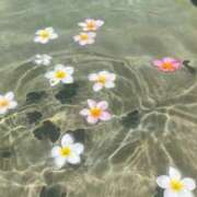 ヒメ日記 2025/07/20 08:01 投稿 新人・妃(きさき) グランドオペラ福岡