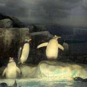 ヒメ日記 2025/08/15 17:23 投稿 とわ スーパークリスタル