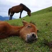 ヒメ日記 2025/08/23 18:43 投稿 とわ スーパークリスタル