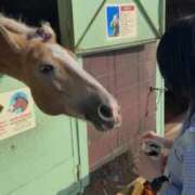 ヒメ日記 2025/10/10 11:53 投稿 とわ スーパークリスタル