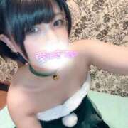 ヒメ日記 2025/12/14 08:03 投稿 とわ スーパークリスタル