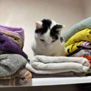 ヒメ日記 2025/12/22 22:13 投稿 とわ スーパークリスタル