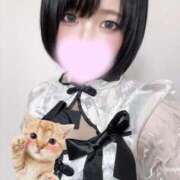 ヒメ日記 2025/12/31 12:33 投稿 とわ スーパークリスタル