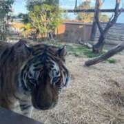 ヒメ日記 2026/01/28 18:13 投稿 とわ スーパークリスタル