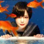 ヒメ日記 2026/02/04 08:03 投稿 とわ スーパークリスタル